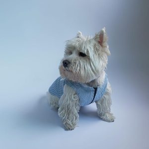 Chaquetas para perro de jeans reciclado