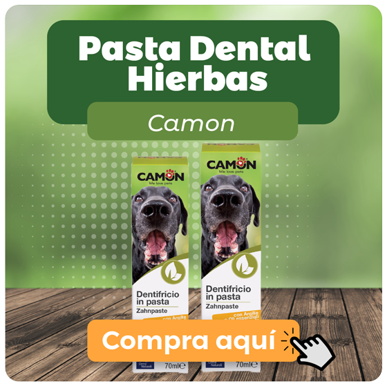 Banner Pasta dental hierbas Camon para mascotas