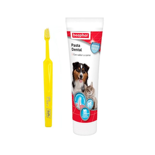 Cepillo de dientes TePe y pasta dental para mascotas marca Beaphar