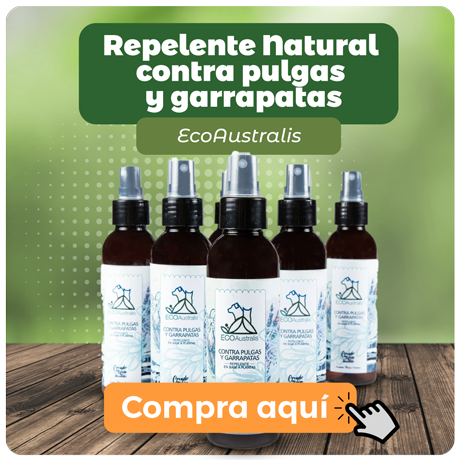 Banner promocional ECO Australis repelente natural contra pulgas y garrapatas