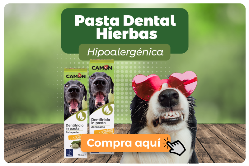 Banner promocional Pasta de diente Hierbas hipoalergénica Camon