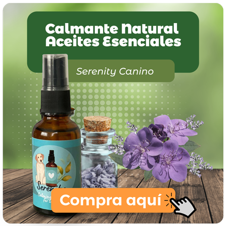 Banner promocional Calmante Natural aceites escenciales Serenity Canino