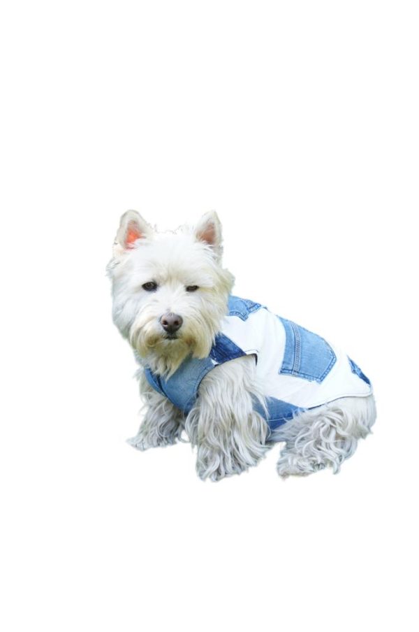 Chaqueta de jeans blanca con bolsillos para perros Verde Animali