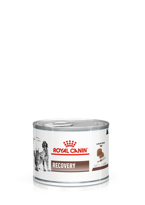Royal Canin - Recovery 145 g
